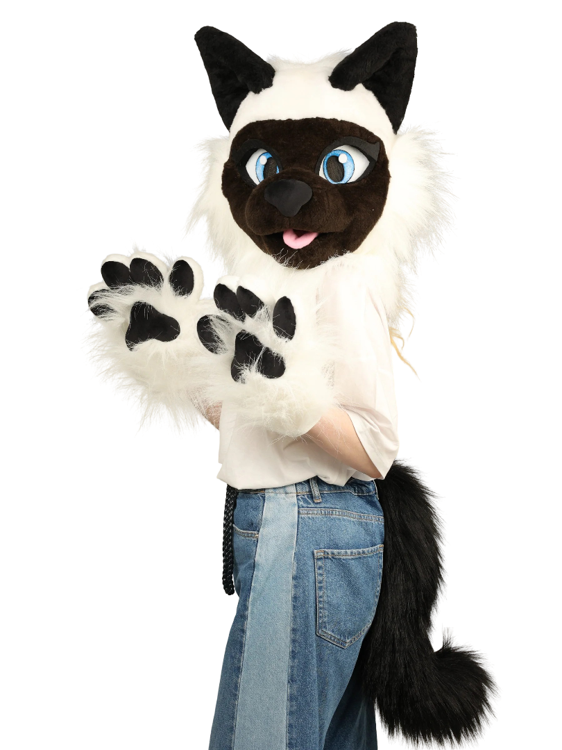 s siamesecatfursuitheadandtailoneandonlycostumes